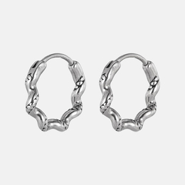 Simple Geometric Irregular Stainless Steel Earrings