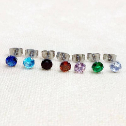 Simple CZ Stone Stainless Steel Stud Earrings