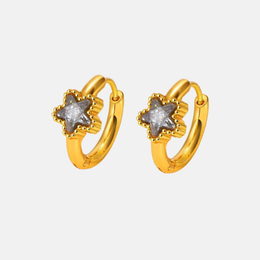 Simple Star Heart Zircon Stainless Steel Earrings