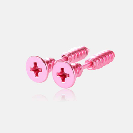 Personalized Screw Stainless Steel Earrings
