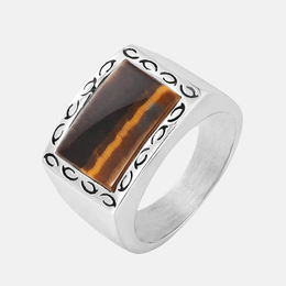 Simple Tiger Eye Stone Stainless Steel Ring