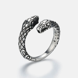 Double Headed Snake Stainless Steel Ring