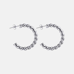 Simple Twisted Design Stainless Steel C-Shaped Earrings