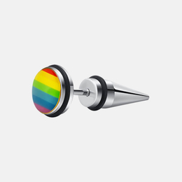 LGBT Rainbow Flag Stainless Steel Stud Earrings