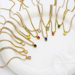 Simple Birthstone Zircon Stainless Steel Necklace